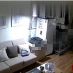 成都动漫公司刘老板手下50个coser全成发泄的工具是怎么回事